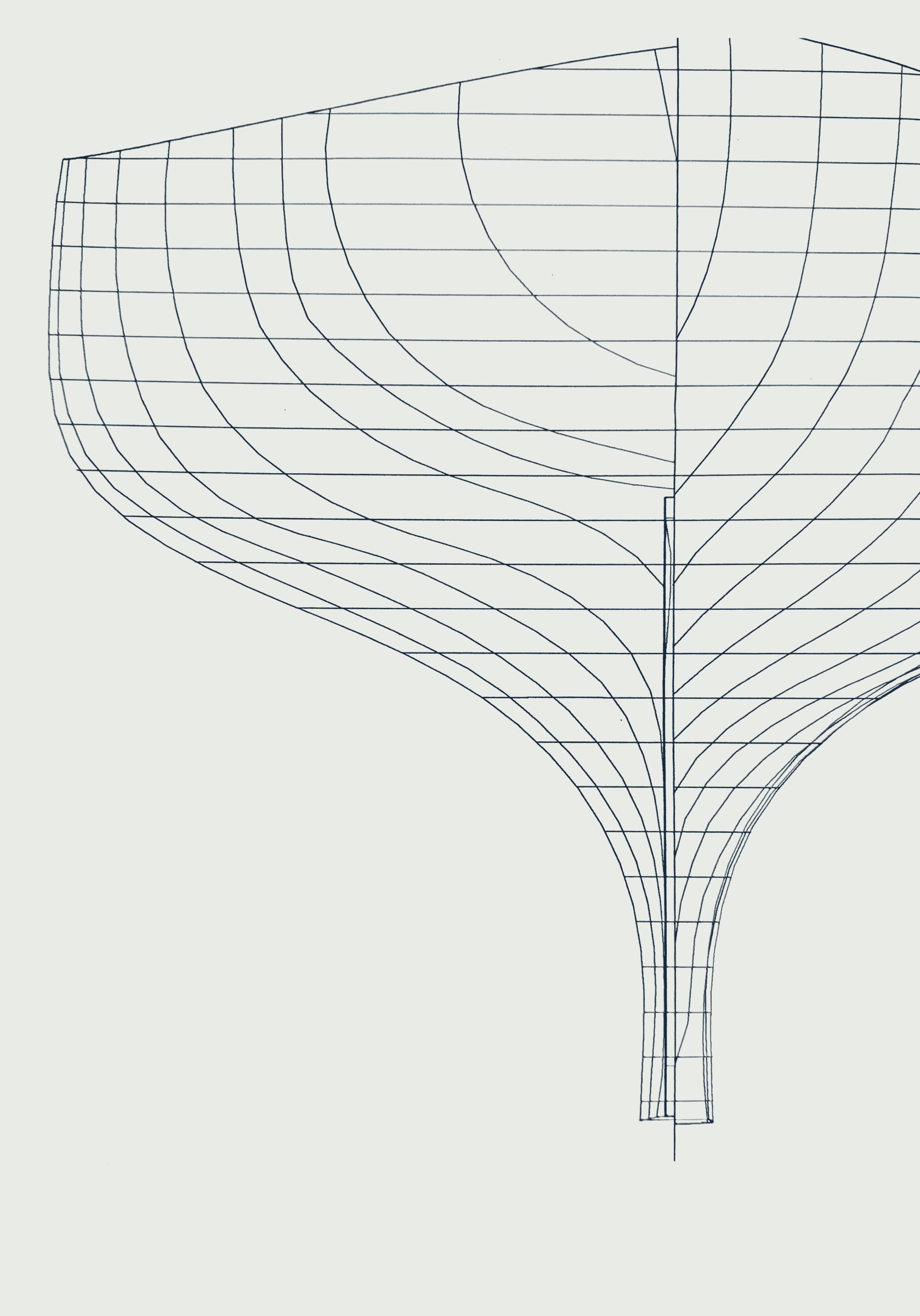Body plan: transverse sections